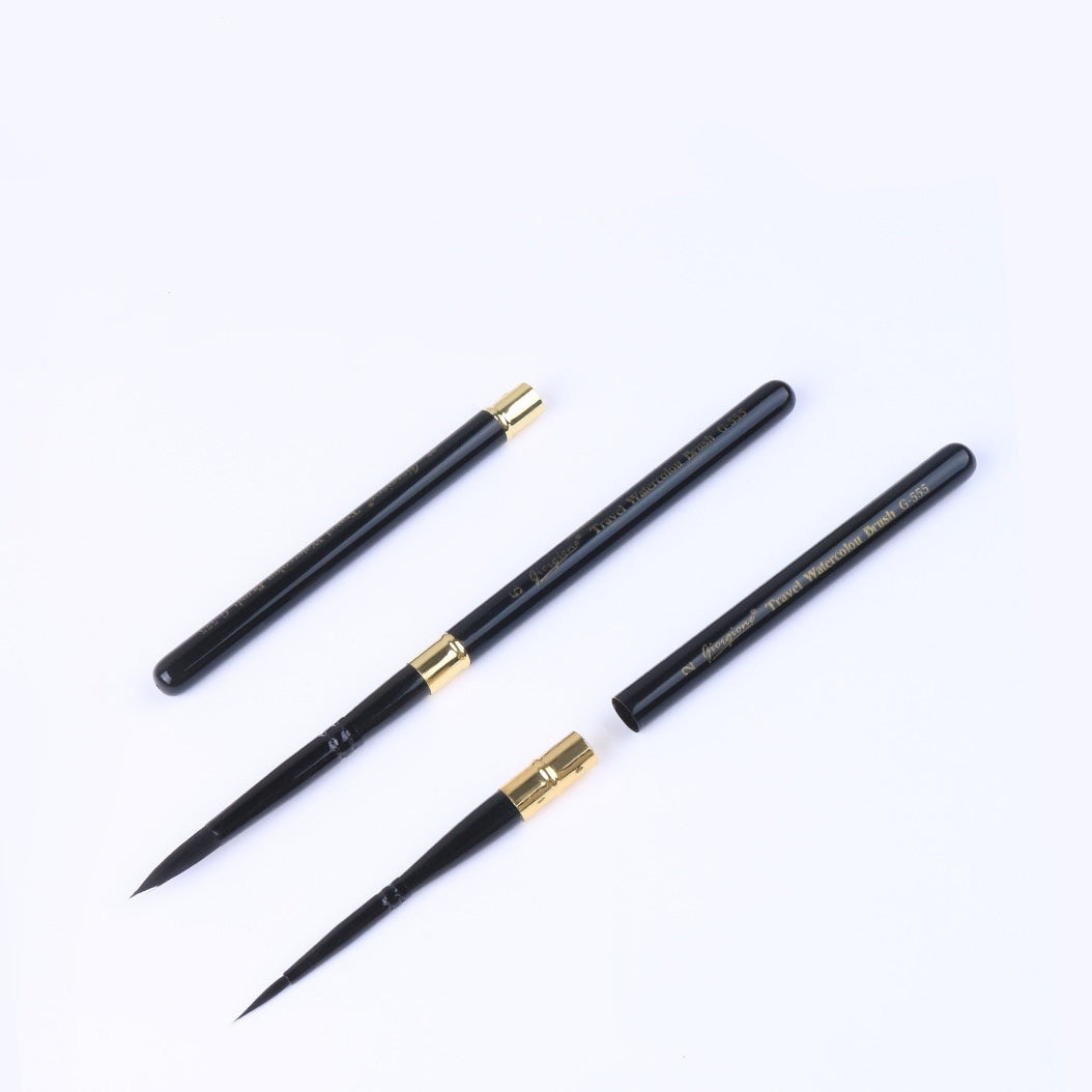 Removable Professional Paint Brush(6 Pcs)
