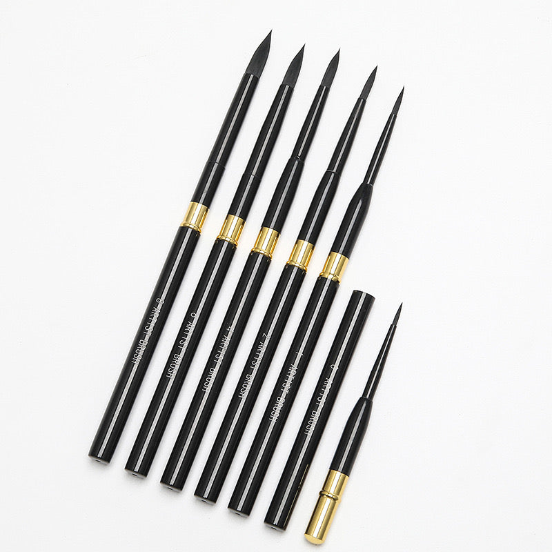 Removable Professional Paint Brush(6 Pcs)