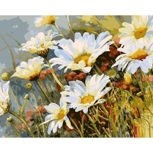 Field of Daisies in Spring