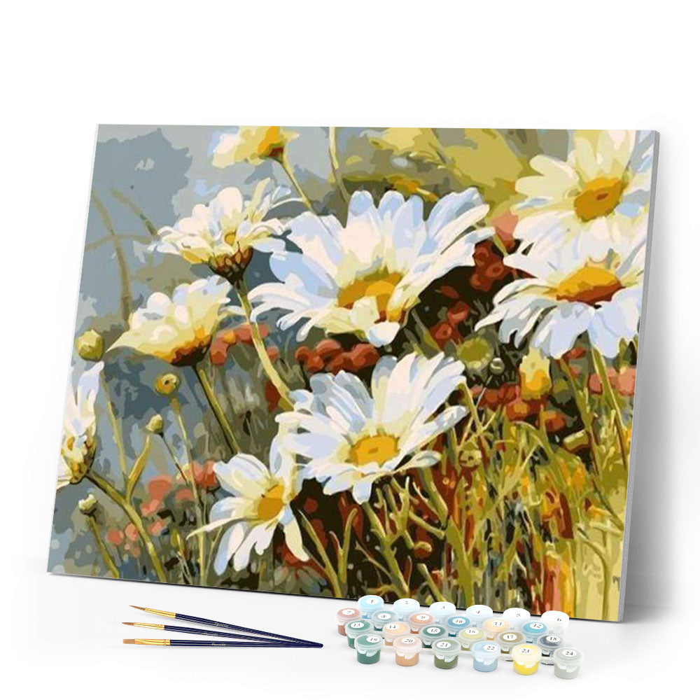 Field of Daisies in Spring
