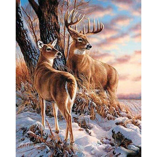 Deers during Winter