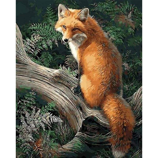 Fox in the Woods