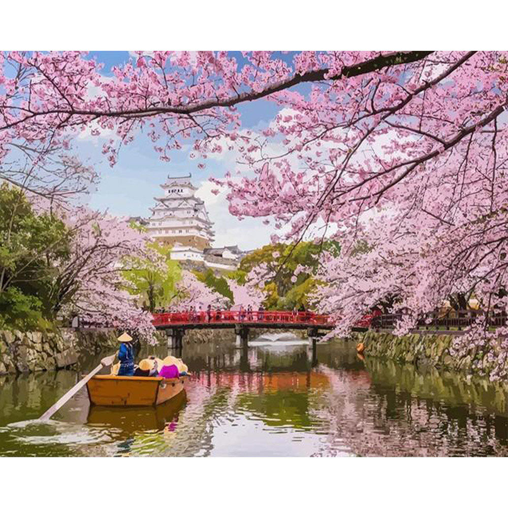 Cherry Blossom in Japan
