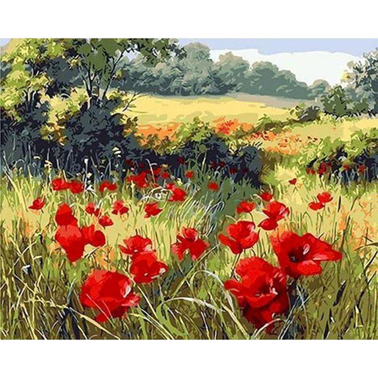 Field of Poppies in the countryside