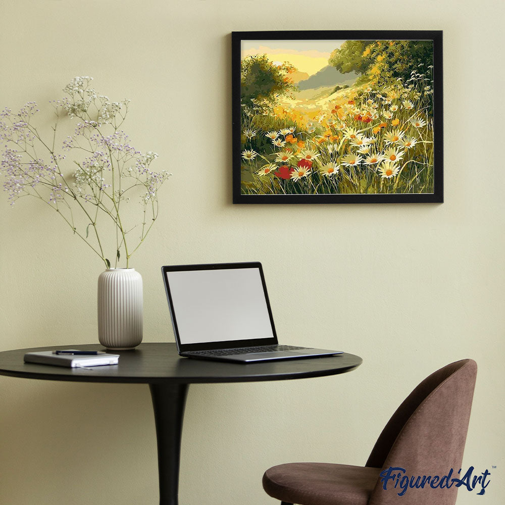 Marguerite daisies in the countryside