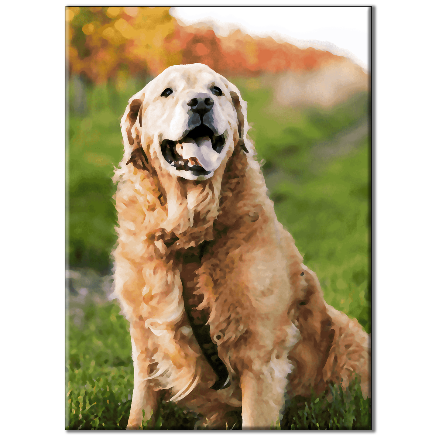 Custom Paint by Numbers, Personalized Art from Your Photo on Canvas, Pet Portrait, Dogs, Cats, Personalized Gift