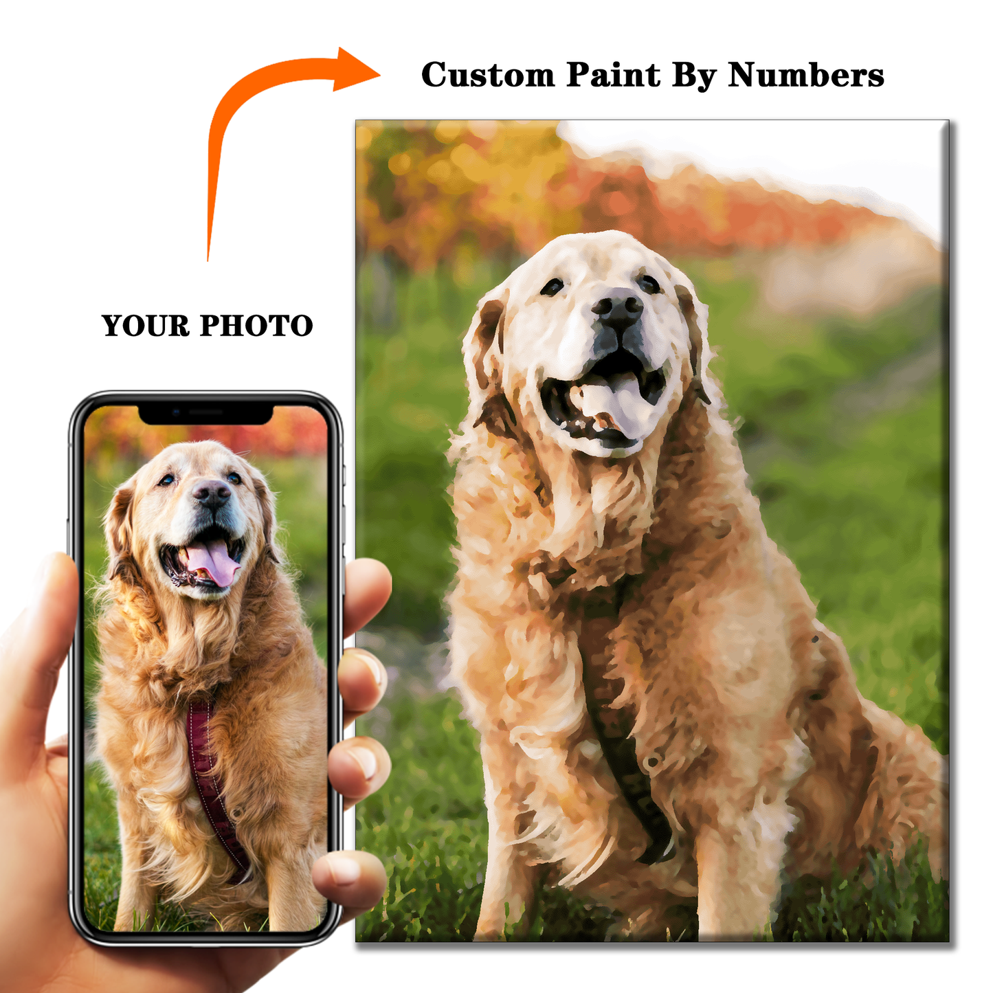 Custom Paint by Numbers, Personalized Art from Your Photo on Canvas, Pet Portrait, Dogs, Cats, Personalized Gift