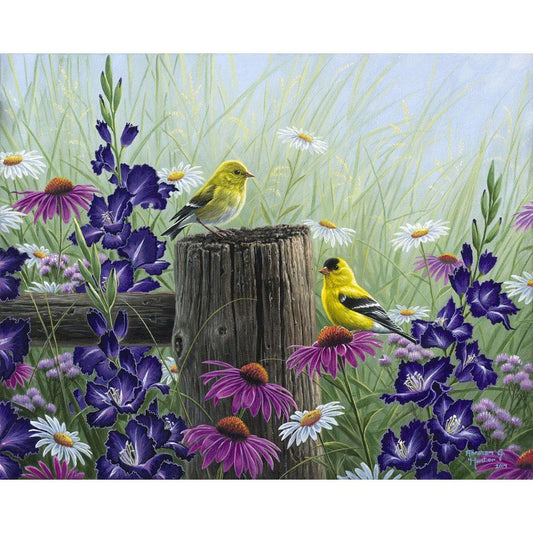 Goldfinch Birds