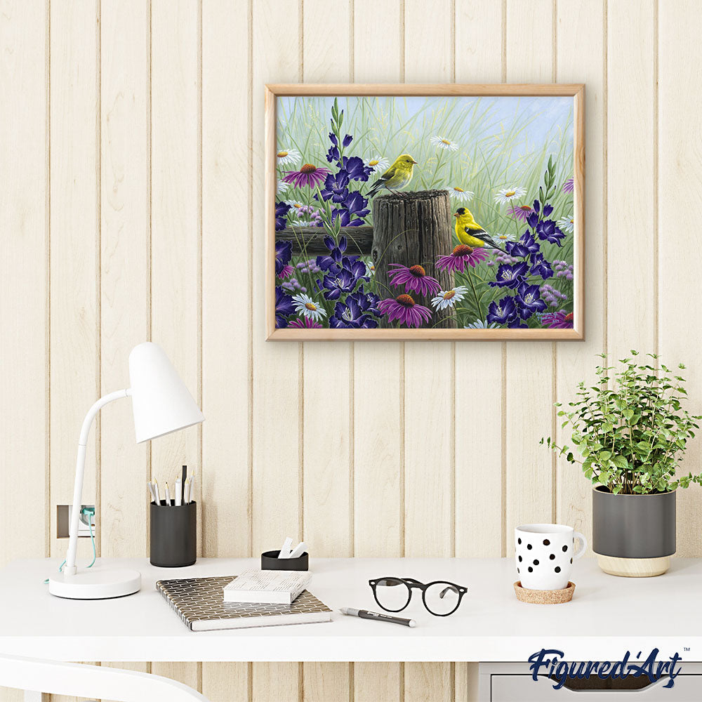 Goldfinch Birds