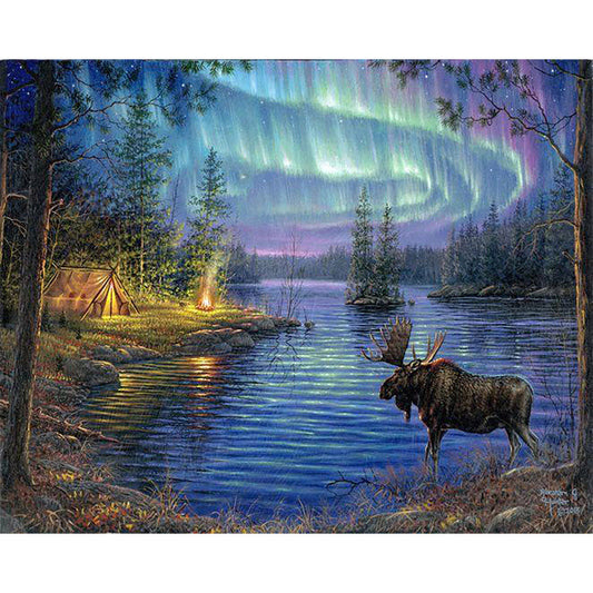 Moose and aurora borealis