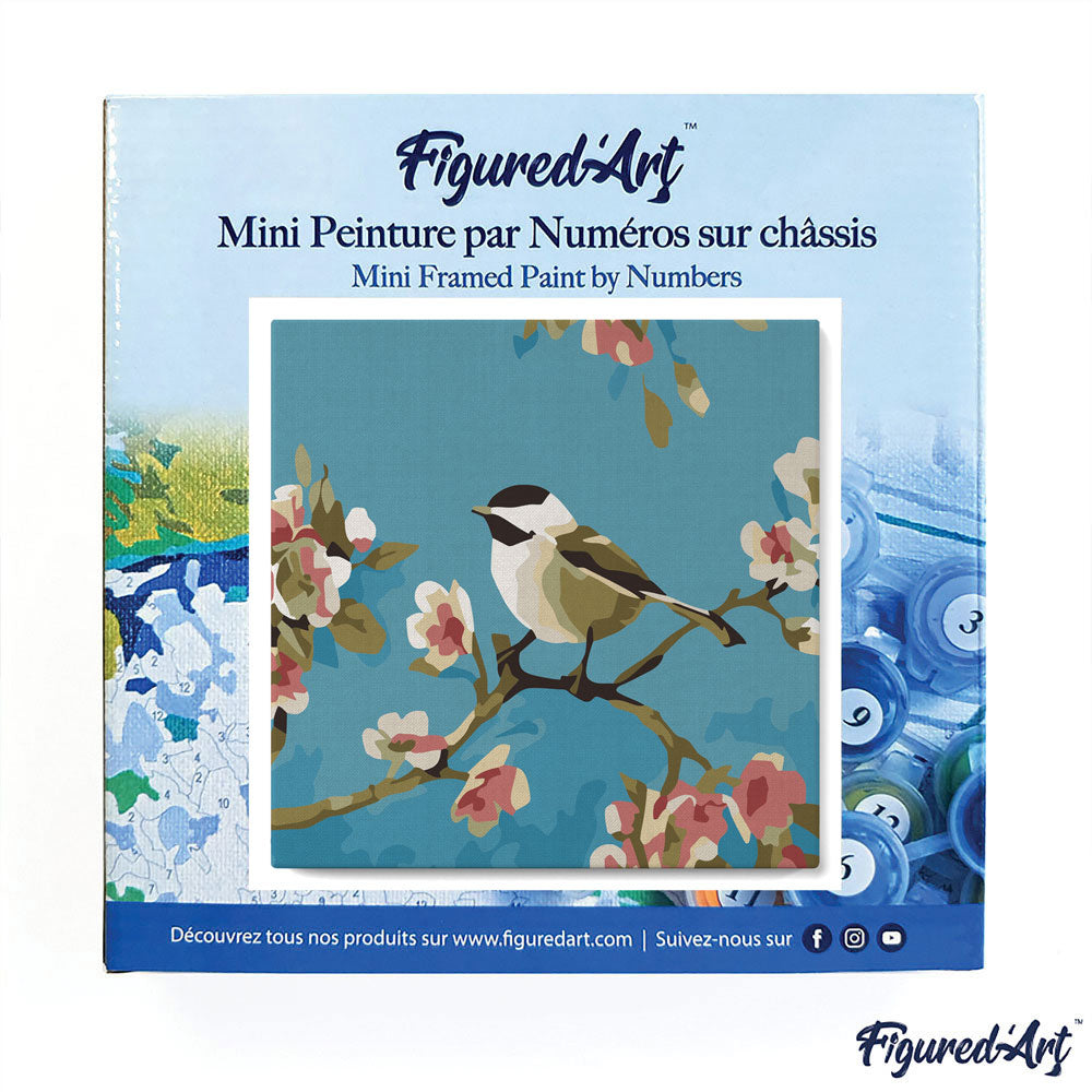 Mini Paint by numbers 8x8 framed - Birds Painting