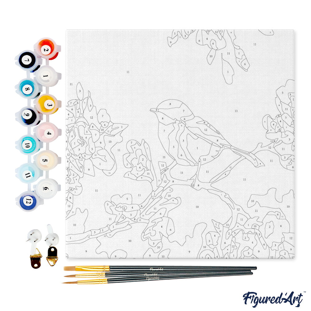 Mini Paint by numbers 8x8 framed - Birds Painting