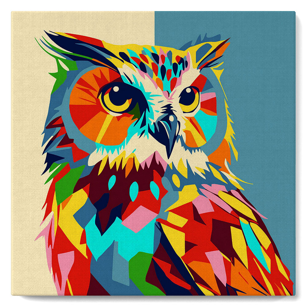 Mini Paint by numbers 8x8 framed - Owl Abstract Pop Art