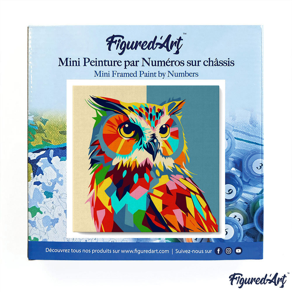 Mini Paint by numbers 8x8 framed - Owl Abstract Pop Art
