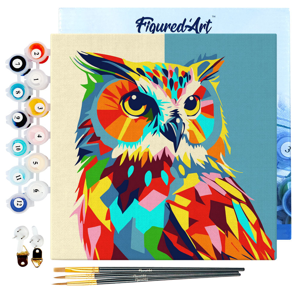 Mini Paint by numbers 8x8 framed - Owl Abstract Pop Art