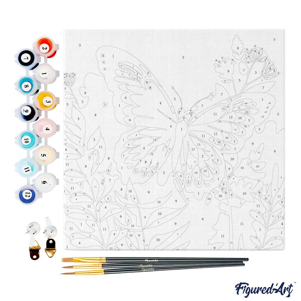 Mini Paint by numbers 8x8 framed - Tropical Butterfly