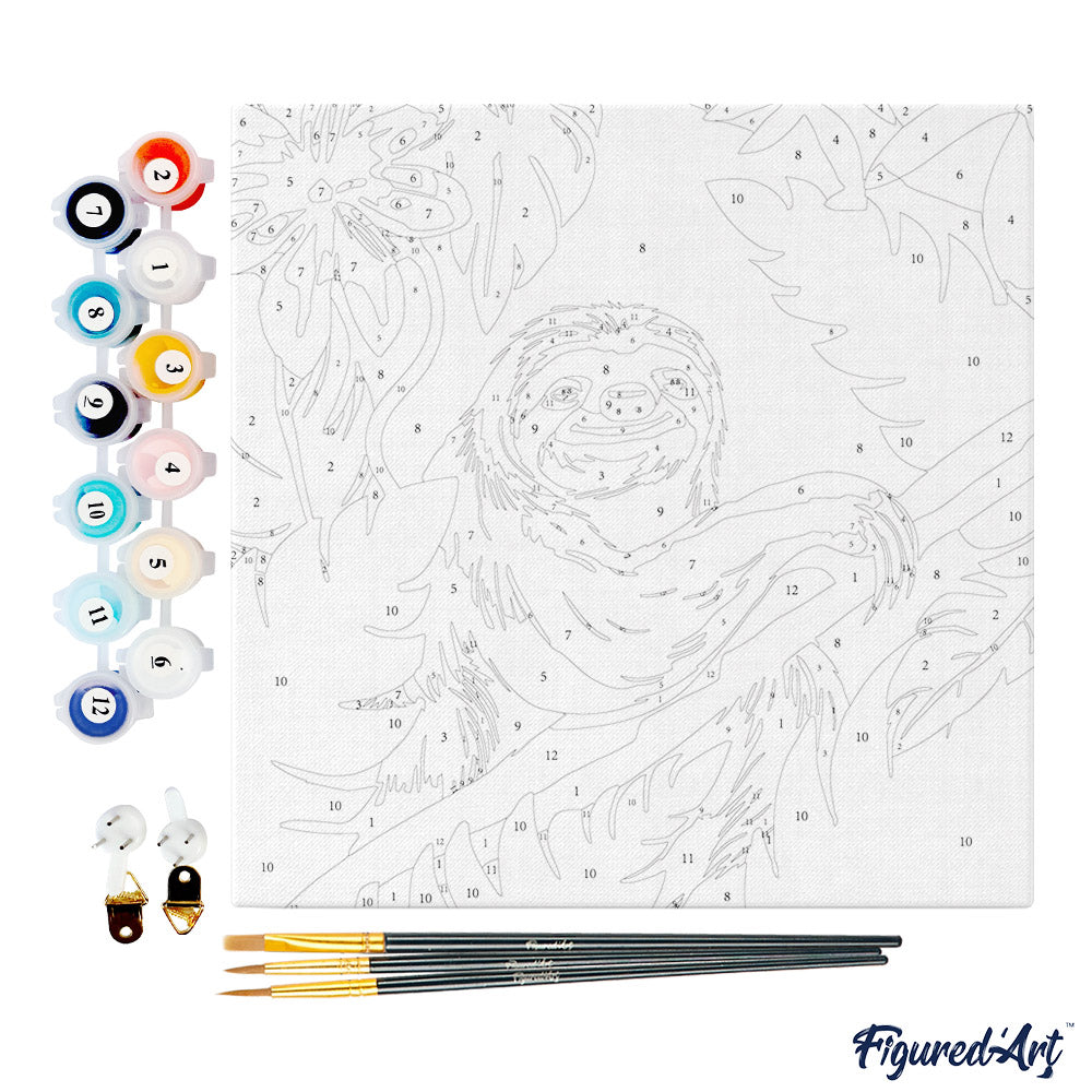 Mini Paint by numbers 8x8 framed - Tropical Sloth