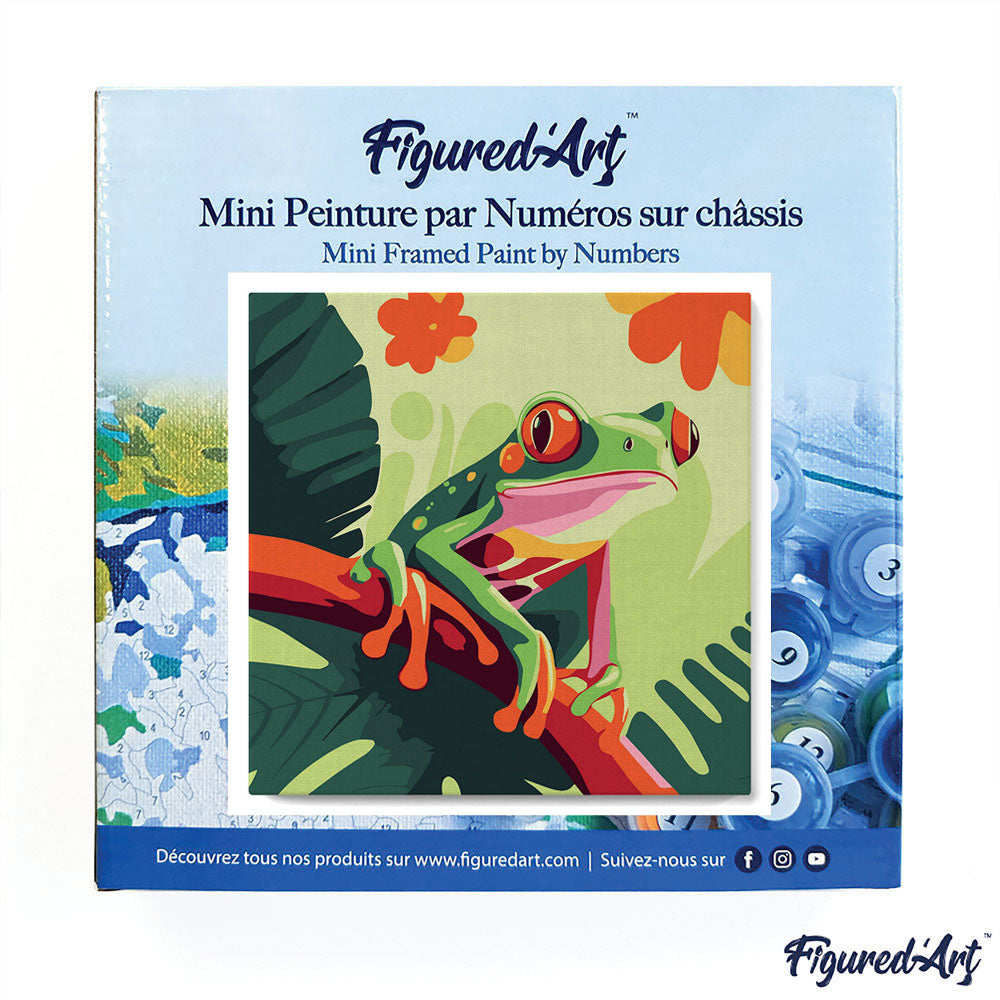 Mini Paint by numbers 8x8 framed - Tropical Red-Eyed Tree Frog
