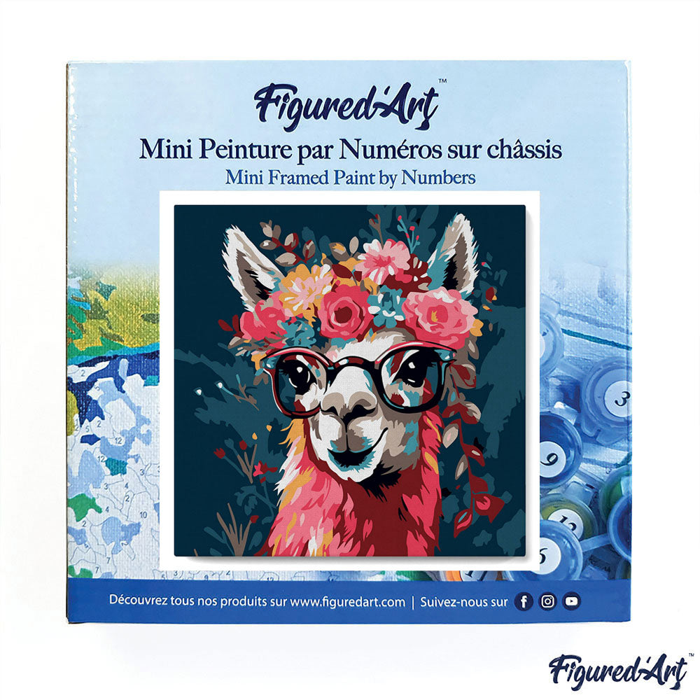 Mini Paint by numbers 8x8 framed - Fantasy llama and flowers