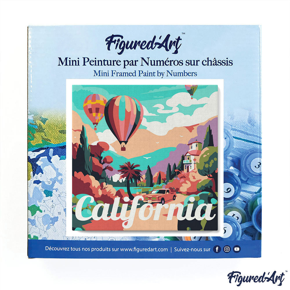 Mini Paint by numbers 8x8 framed - Travel Poster California Balloons