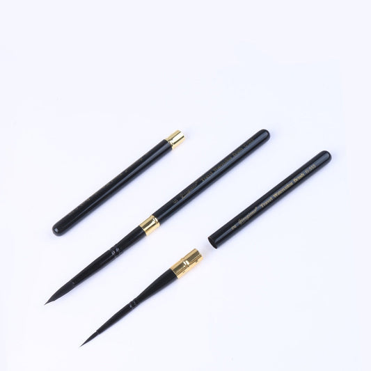 Removable Professional Paint Brush(6 Pcs)