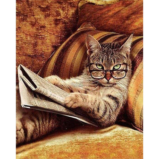 Don't mess with This Cat