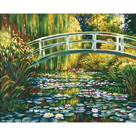 Water Lily Pond