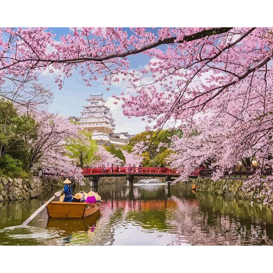 Cherry Blossom in Japan