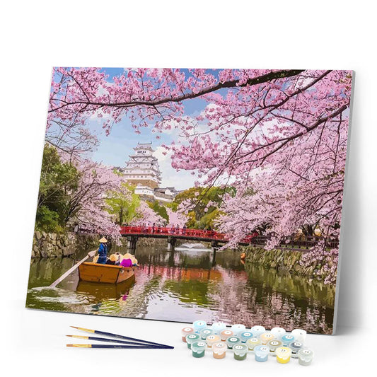 Cherry Blossom in Japan