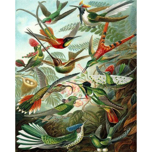 All the Birds