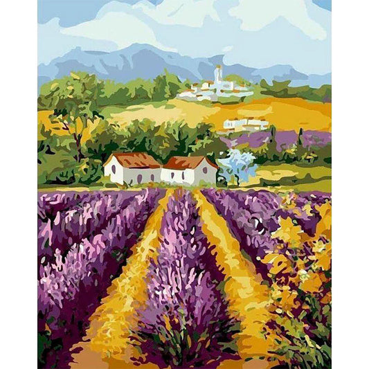 Field of Lavender