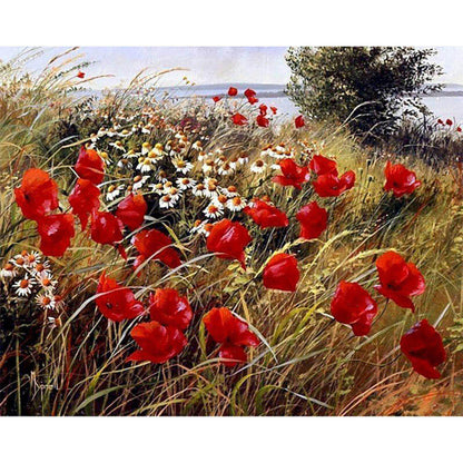 Wild flowers in the countryside
