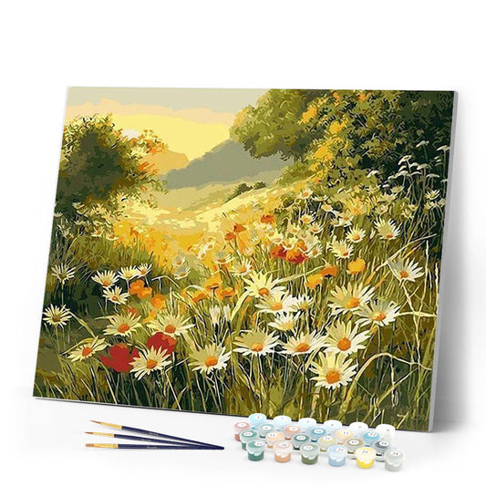 Marguerite daisies in the countryside
