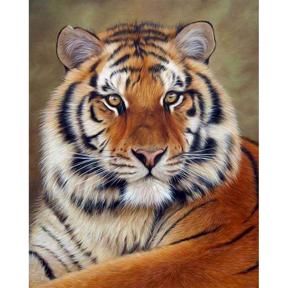 Tiger Look