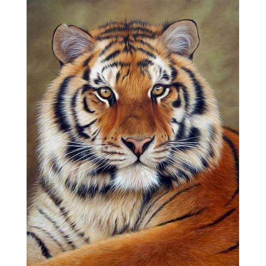 Tiger Look