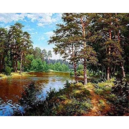 Forest landscape Summer time