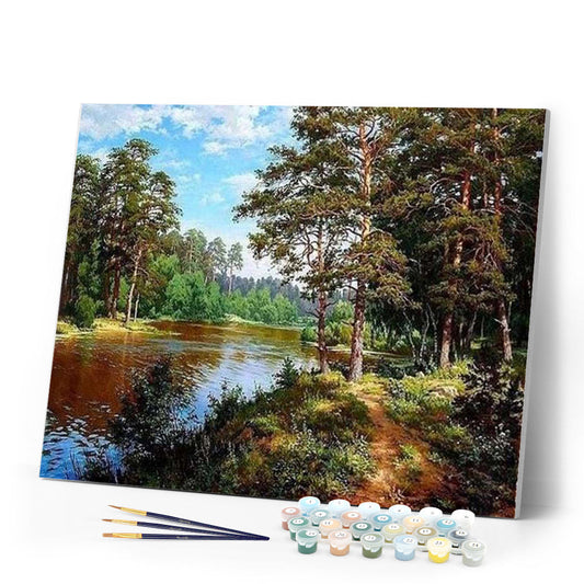 Forest landscape Summer time