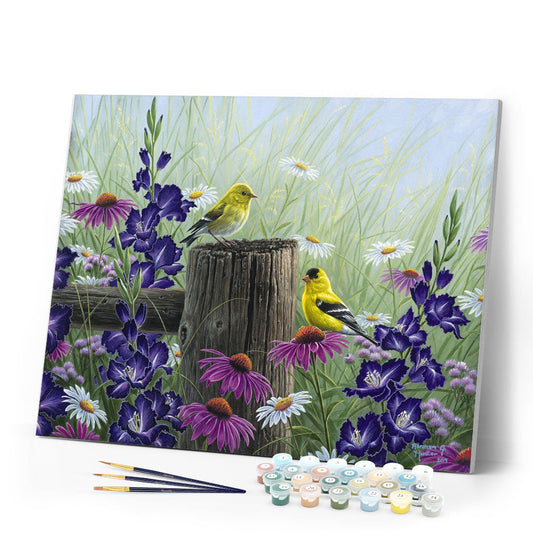 Goldfinch Birds