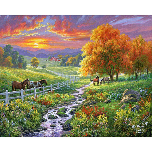 Sunny Meadow