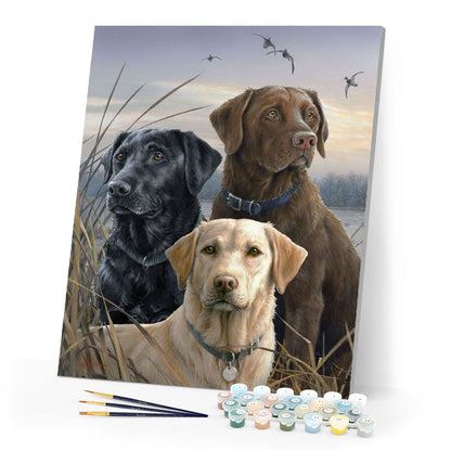 Labrador Trio