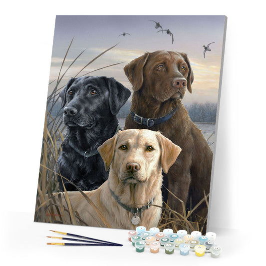 Labrador Trio