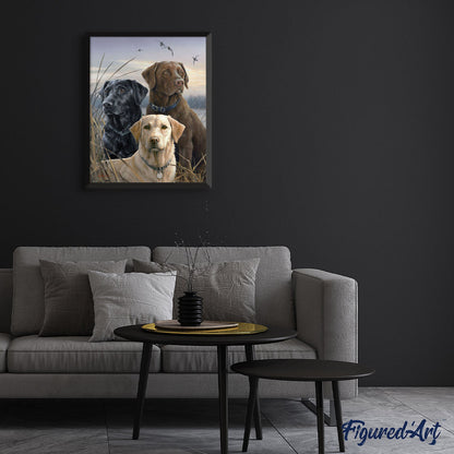 Labrador Trio