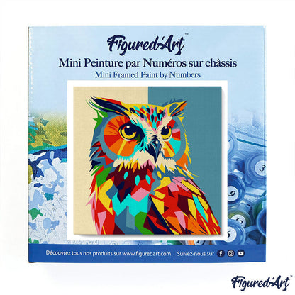 Mini Paint by numbers 8x8 framed - Owl Abstract Pop Art