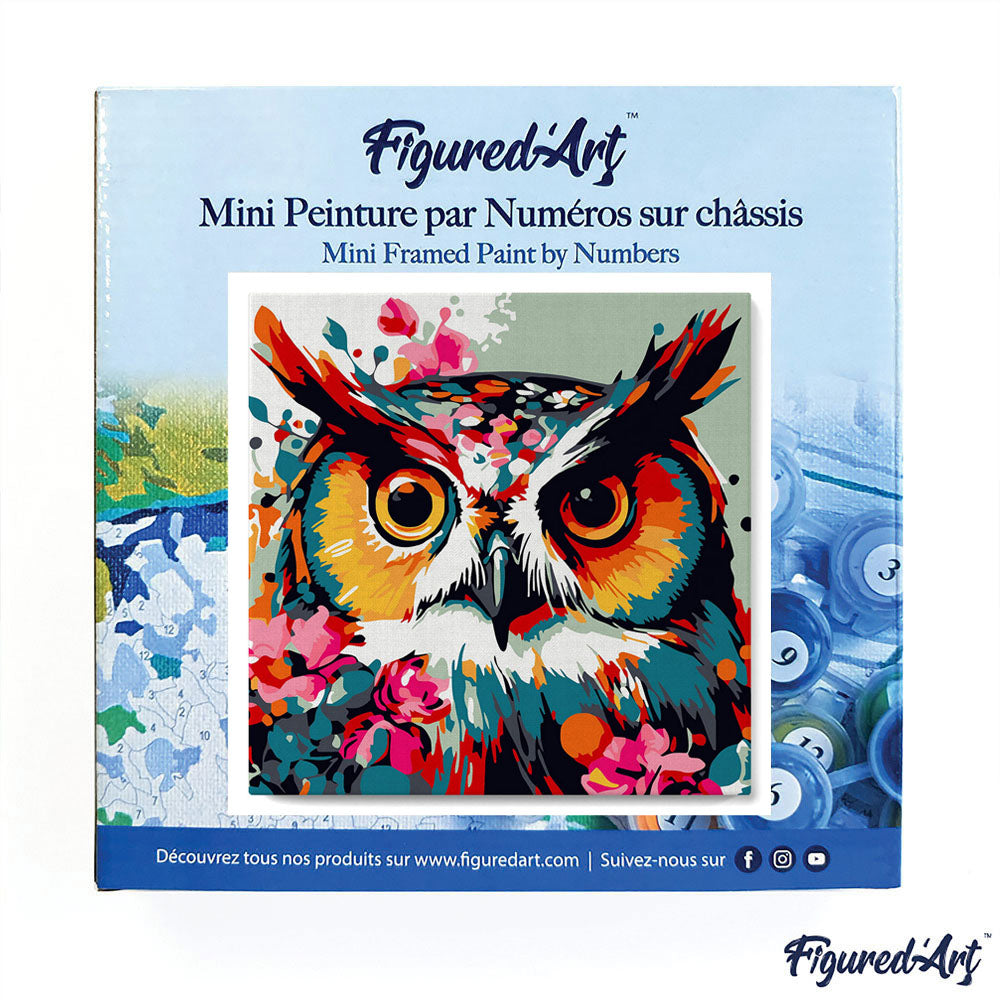 Mini Paint by numbers 8x8 framed - Fantasy owl with flowers