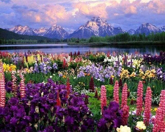 Flowers and Lake near the Mountain