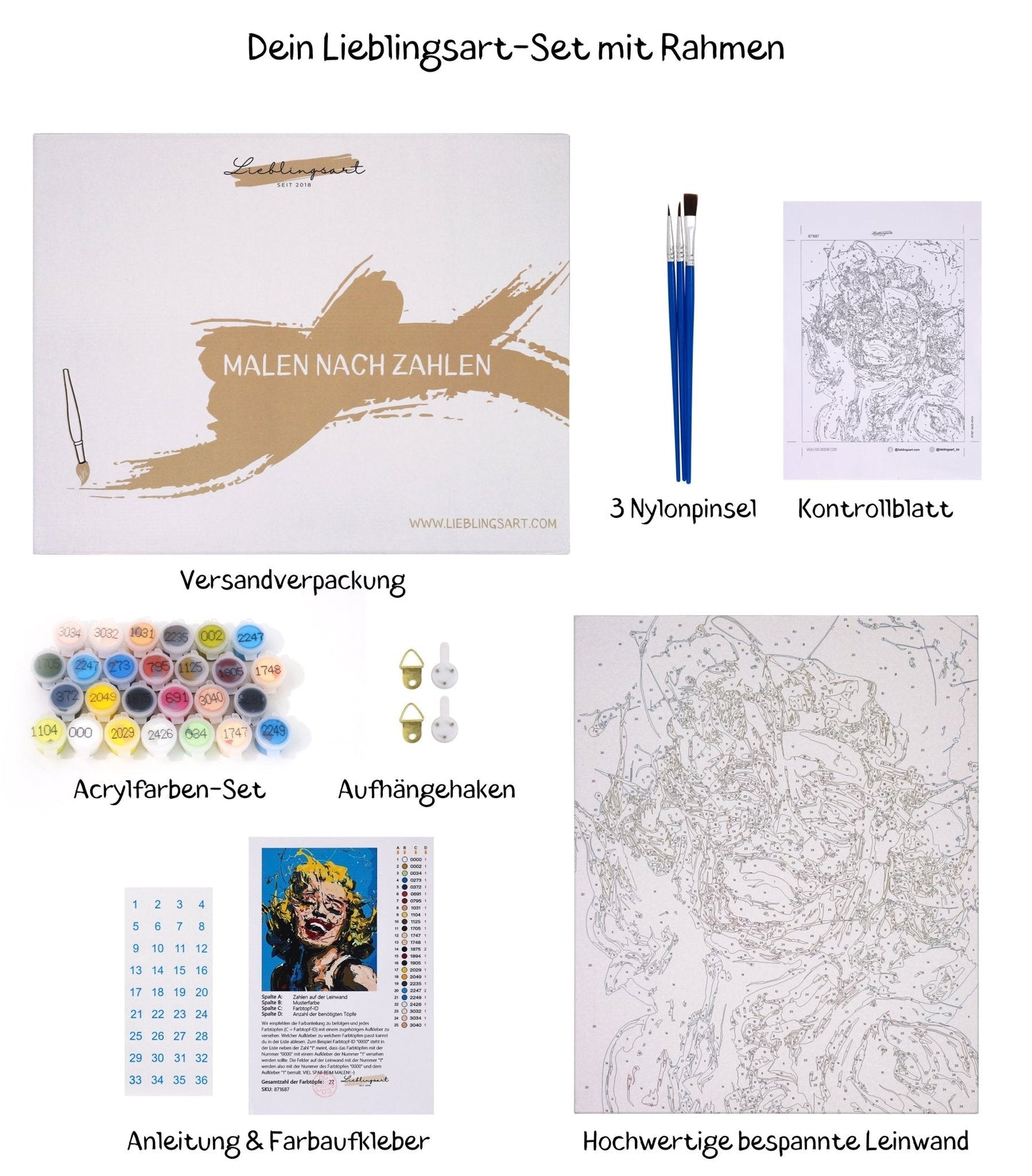PAINT BY NUMBERS | POP ART EINSTEIN