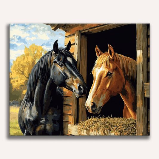 Stable Companion