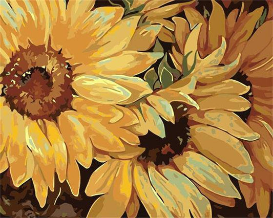 Sun Flowers